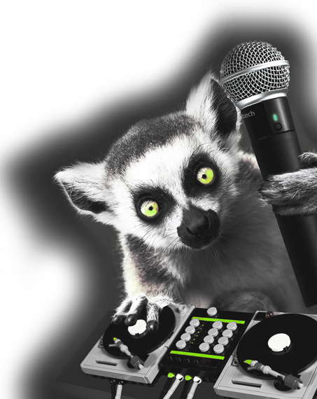 LemurDJ